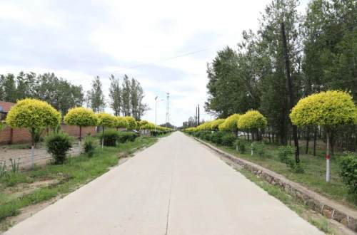 梨树县林海镇:环境整治见实效 乡村美景"入画来"