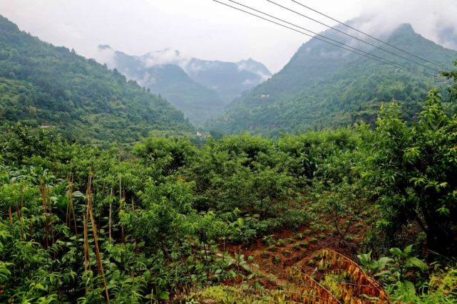 元厚镇米粮村:产业铺筑致富路 乡村旧貌换新颜