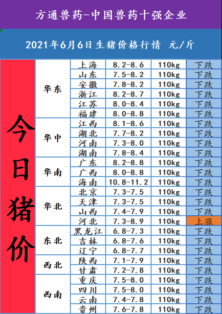 2021年6月6日,今日豬價