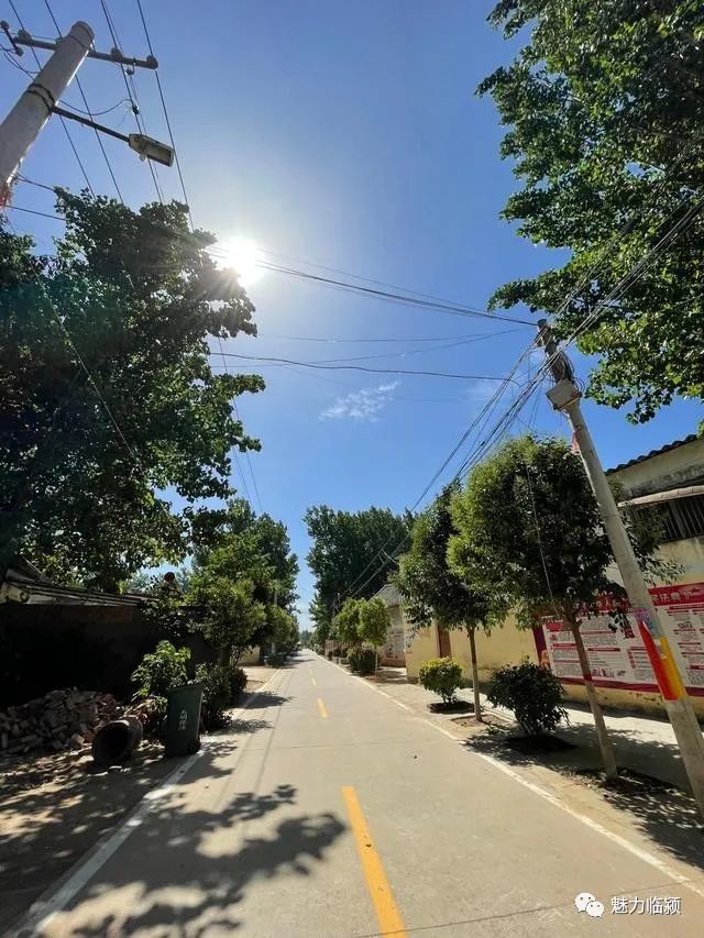 漯河这个小村庄,怼的真漂亮啊!