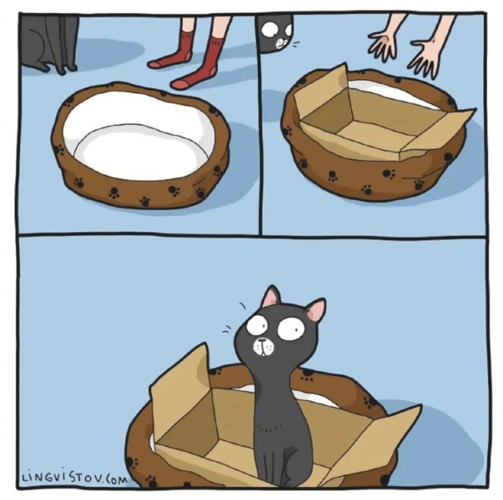 感同身受卑微的猫奴生活就是这个样子的