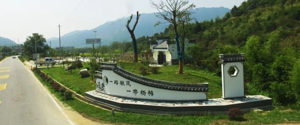 全域旅游创建丨陵阳镇杨梅村