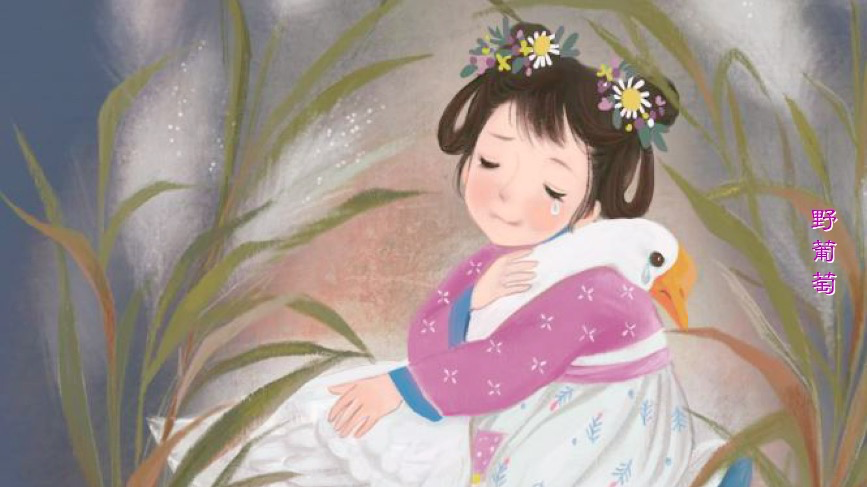 睡前故事 野葡萄 腾讯新闻