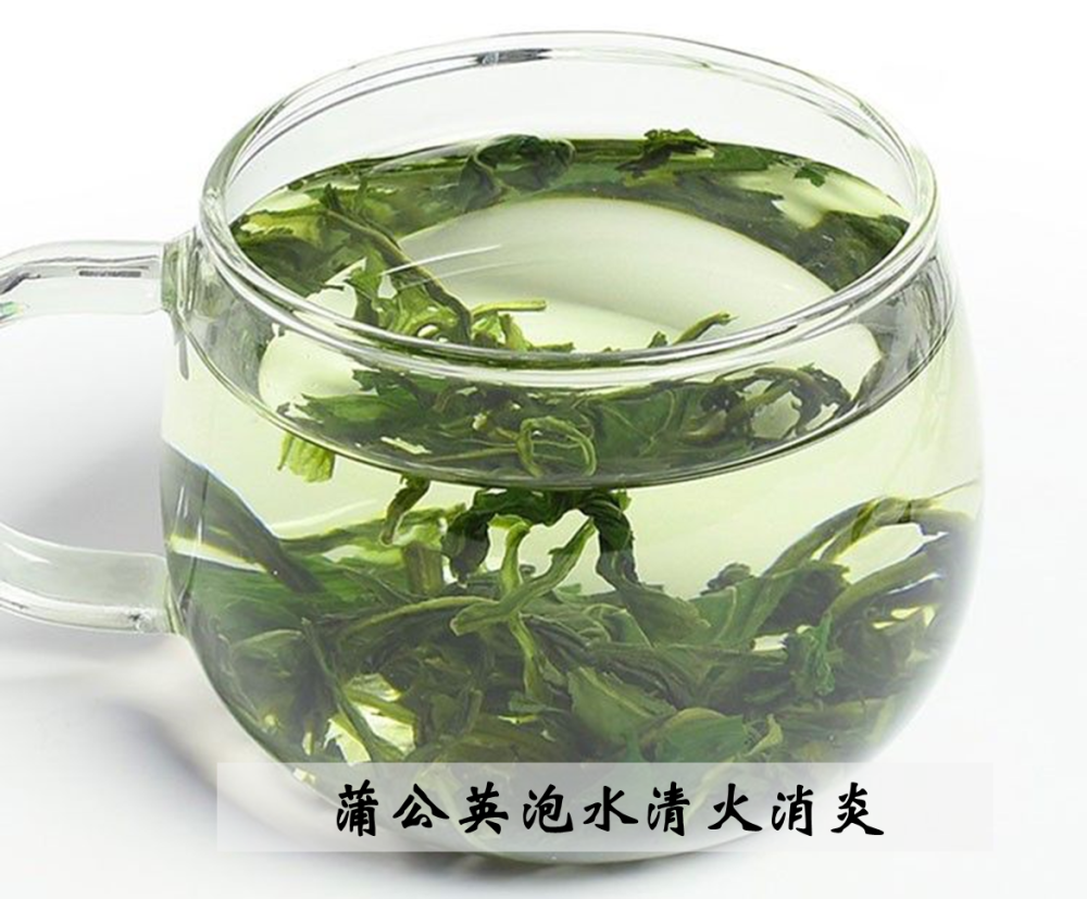 蒲公英泡水喝益处多多