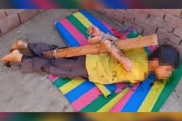 埃及父亲将7岁儿子全身涂满蜂蜜绑起来让蜜蜂叮咬数日母亲携娃逃跑