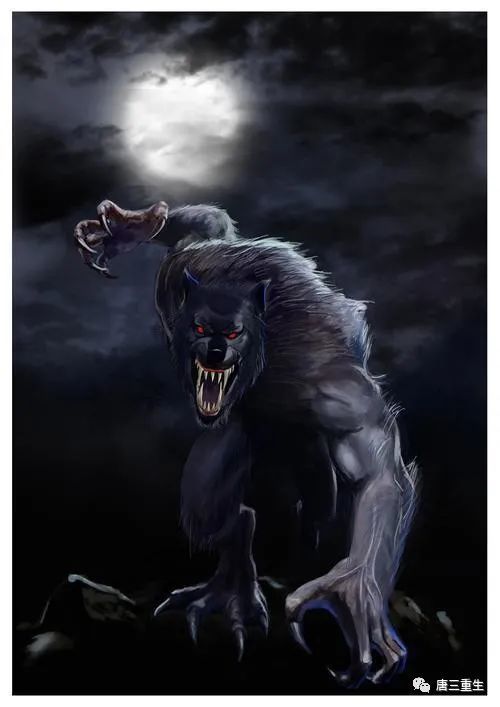 重生唐三风狼王的怒火唐三的麻烦