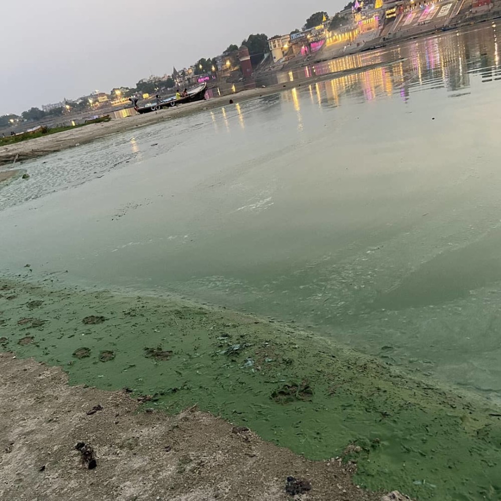 还能喝恒河水突然变绿印度民众陷入恐慌专家给出答案