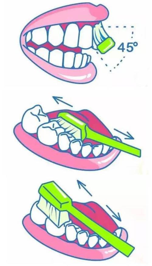 考试有重点刷牙也有重点