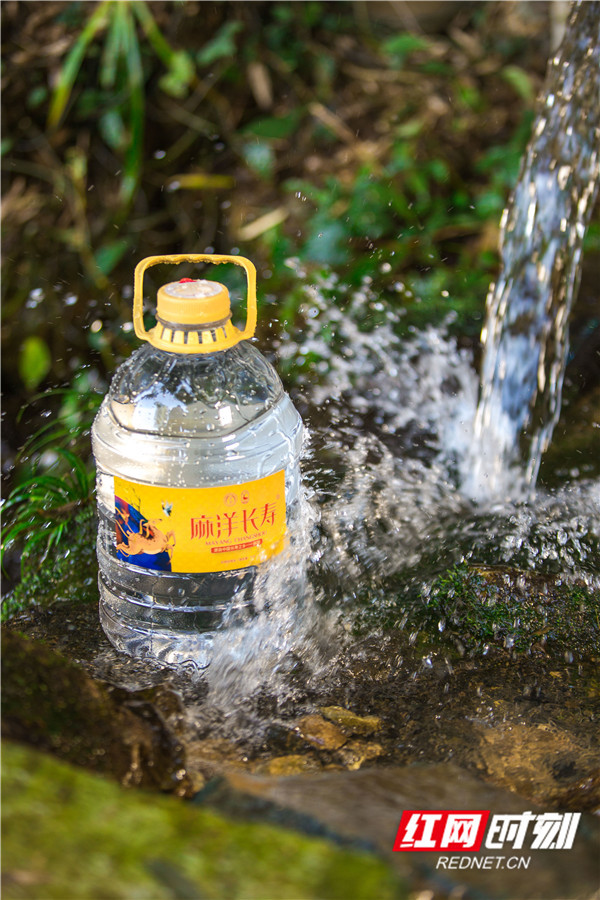 麻阳百岁寿星常喝的水正走入千家万户