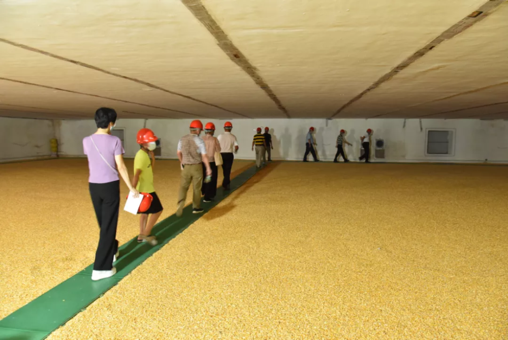 品种最为齐全,2020年被广东省粮食和物资储备局授予"aaa级粮库"称号