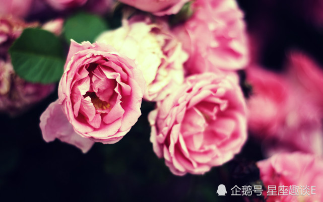 6月8日星座运势 诸事顺遂 旗开得胜的四大星座