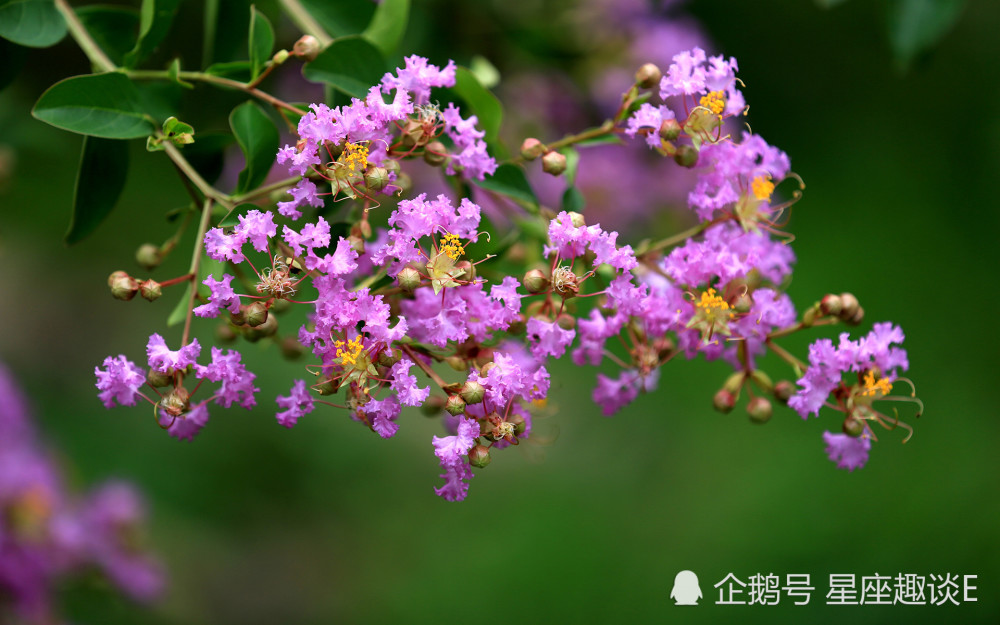 6月8日星座运势 诸事顺遂 旗开得胜的四大星座 腾讯新闻