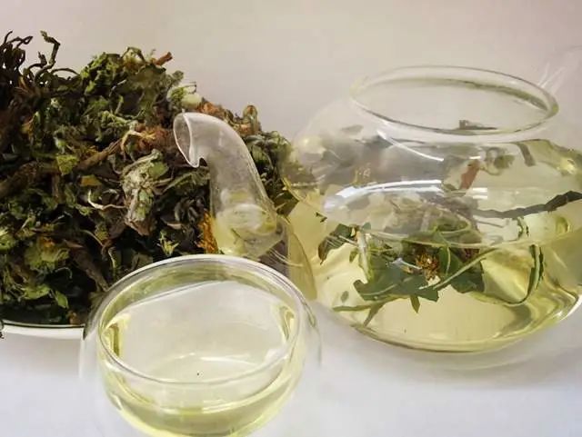 蒲公英根泡水喝的功效(炒的蒲公英根泡水喝的功效)