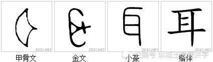 "耳"字演变耳朵是一个听觉器官,它位于脑袋的两侧,也引申指像耳一样的