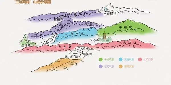 武夷岩茶的"行话",你知道几个?