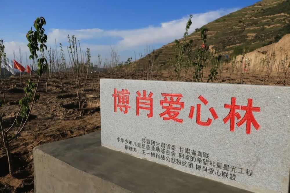 青春行动共植爱心林丨每一颗种子都会破土而出 粲然绽放 腾讯新闻