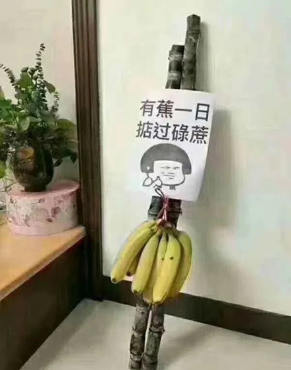 想高考成功这些神兽可助你一臂之力