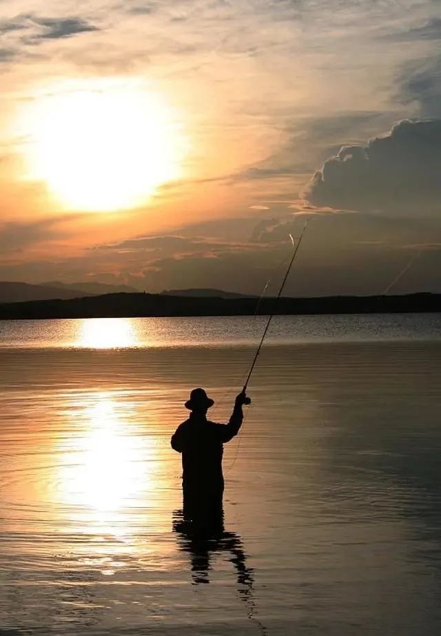 钓鱼有十难,句句直达钓鱼人人心