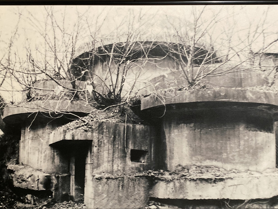 鏖战月浦1949年上海解放战役近两千名指战员牺牲于此