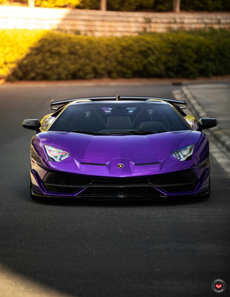 不用看了你买不起的兰博基尼svj敞篷全碳车身