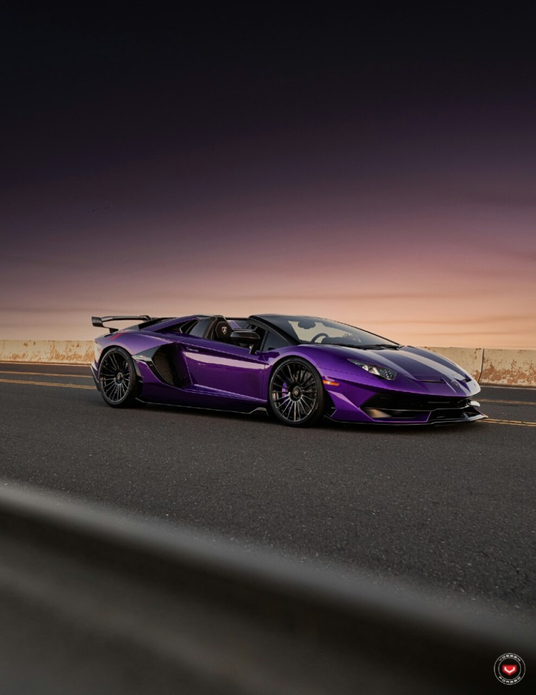 不用看了你买不起的兰博基尼svj敞篷全碳车身