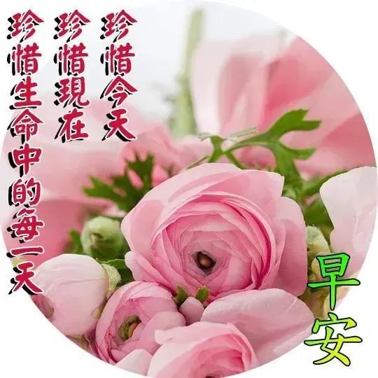 早上好問候祝福帶字圖片早安心語暖心話短句