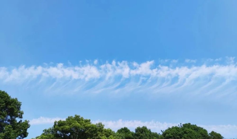 非升即走:中国特色tenure-track