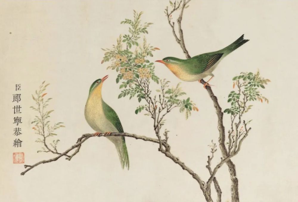 清代宫廷画家郎世宁工笔花鸟画_腾讯新闻