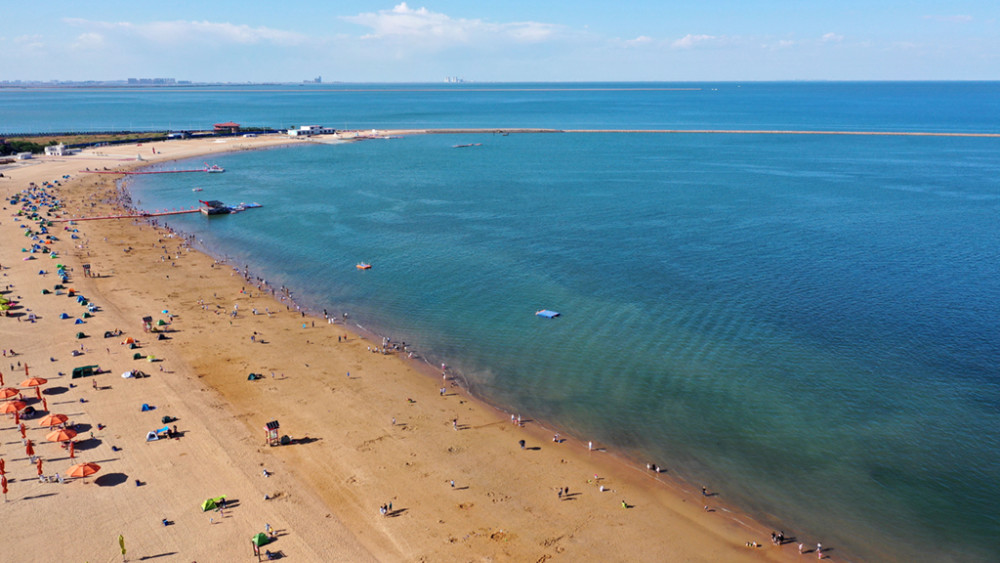但由于地处河流入海口,渤海自净能力差等原因,天津的海岸线主要由淤泥