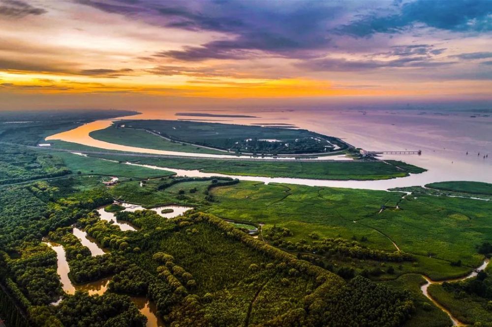 東灘溼地公園位於崇明島的最東側,毗鄰國家級自然保護區.