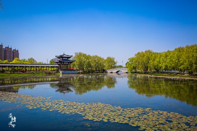 安徽宿州有一座清水湾公园 充满了隋唐风韵 是休闲娱乐的好去处 全网搜