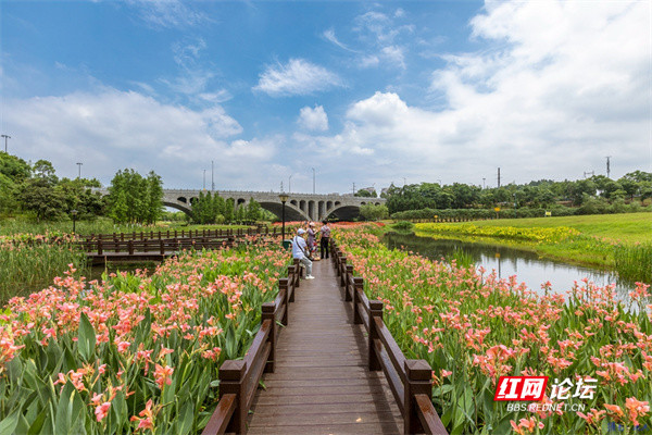 星沙松雅湖湿地公园.(摄影:@迷底)