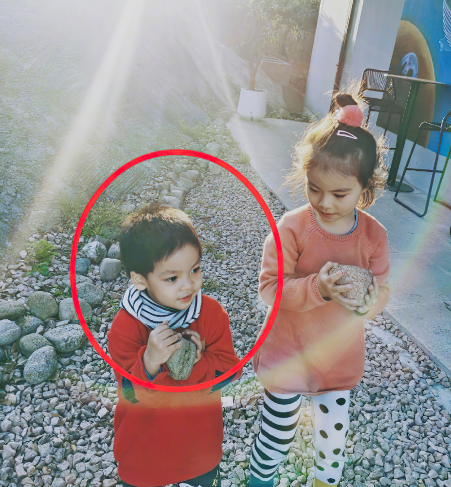 而她们的儿子并没有因为父母成就就骄傲自满,反而十分低调,李佳航李晟