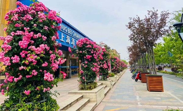 吴泾永德路:商业街成花街了,美翻了
