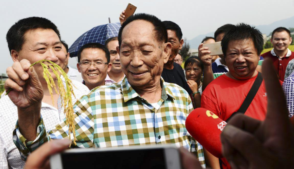 "水稻之子"袁定阳:接棒袁隆平衣钵,妻子曾被父亲拒之门外