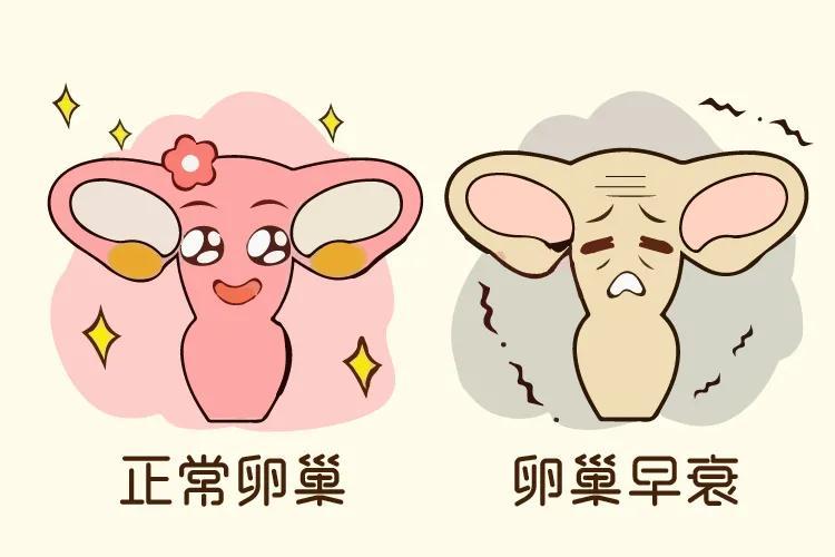 注意了,节食减肥,容易引起卵巢早衰!_腾讯新闻