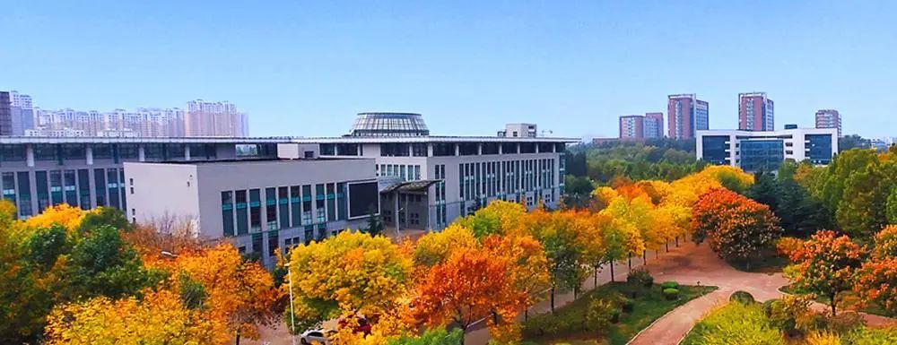 山东女子学院2022年专科综合评价招生章程