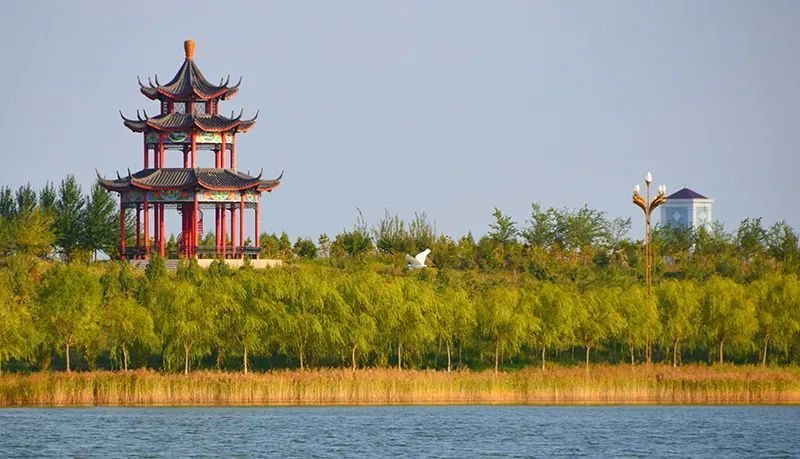 推荐假期放粽游溯源黄河文化开启百湖之乡魅力磴口研学之旅