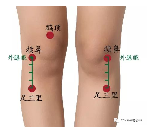 足三里為什麼會是保健要穴呢學會足三里勝吃老母雞