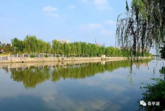 亭湖水美,景美,环境美