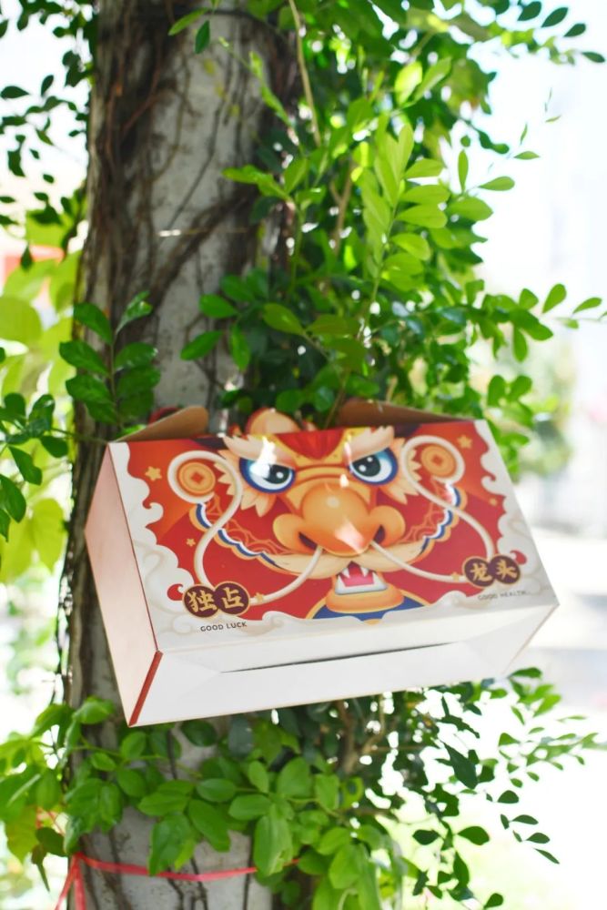 超有料大鹏海胆粽美味上线粽子盲盒等你开启