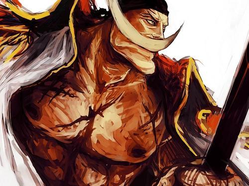 海贼王拥有皇级实力的5位肌肉壮汉都是倒三角形身材