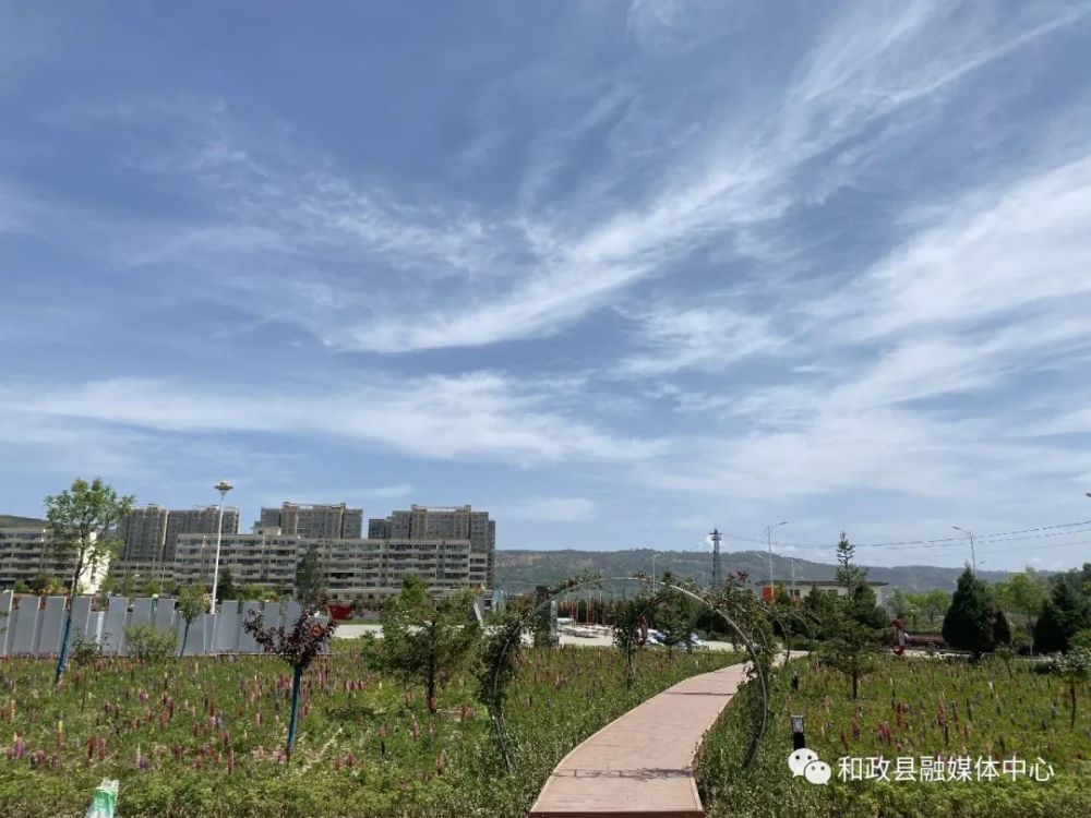 鲁冰花扮靓和政县城