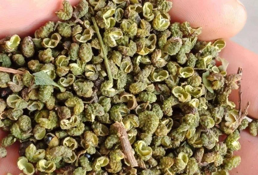 青阳炒鸡的正宗做法 讲解详细 做法简单 鸡肉嫩滑酱香浓郁 腾讯新闻