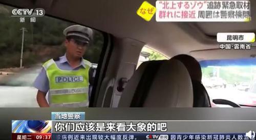 云南象群走红日本 警察 你们应该也是来看大象的吧 腾讯新闻