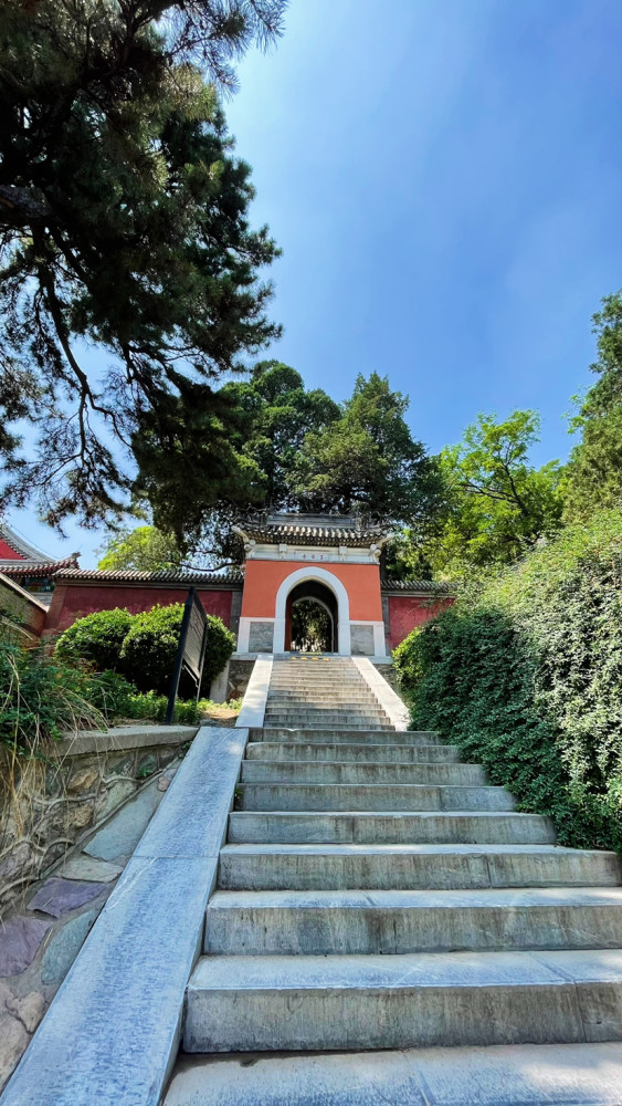 再之后我们便回到原路准备看一下玉华寺,途中遇到了一颗并蒂树,其意义