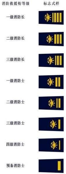 山东53名消防员晋升高级消防员救援衔6人被授予一级消防长