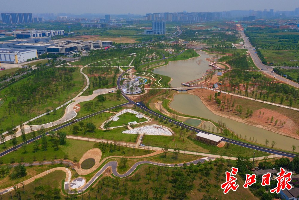 有溪水花海还有儿童乐园,这个生态走廊雏形初显