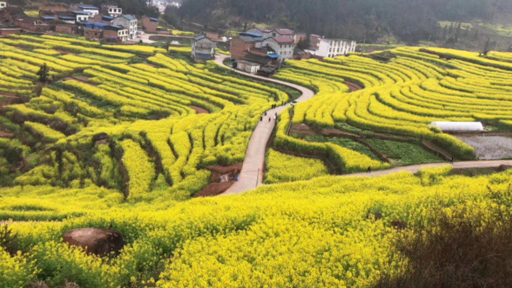 四川宜賓屏山中都鎮基層治理三項舉措夯實鄉村振興底部基礎