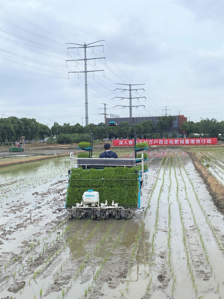江苏全力推进水稻侧深施肥技术_腾讯新闻